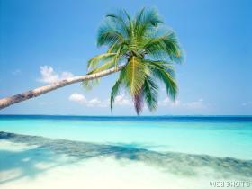 paradis!!!